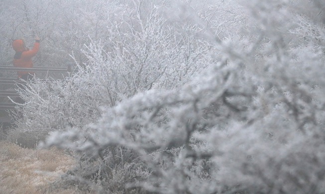 Premiers flocons de neige