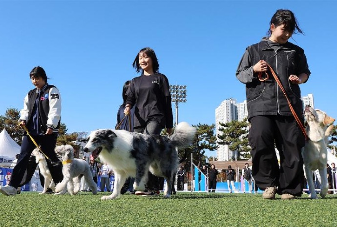 Concours de chiens de détection