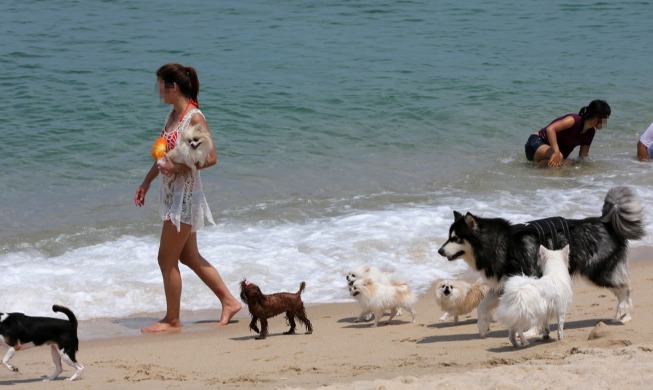 La ville d’Incheon inaugure son centre de santé et de bien-être pour animaux domestiques