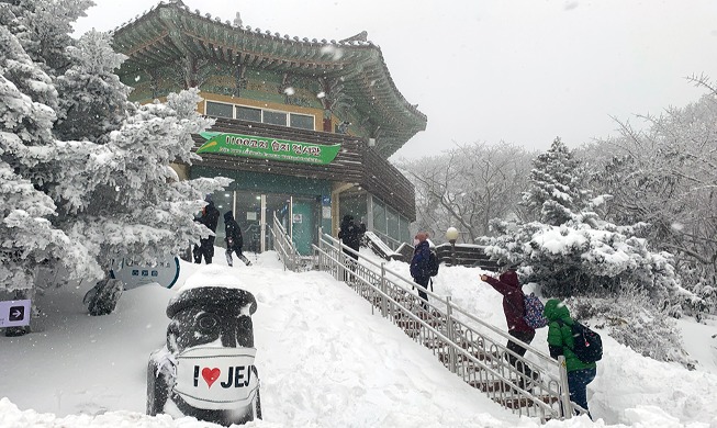 Les merveilles de l'hiver au sommet du mont Halla sur l'île de Jeju