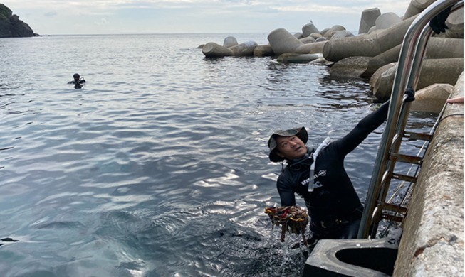 Image du jour : des plongeurs nettoyant l'océan sur l'île d'Ulleungdo