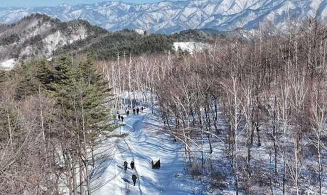 Taebaeksan Mountain Snow Festival