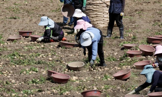 La Corée accueillera près de 17 000 travailleurs saisonniers en plus d'ici la fin de l'année
