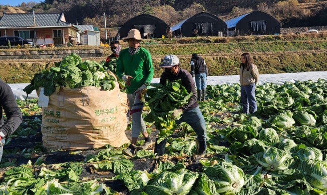 Les travailleurs saisonniers étrangers désormais exemptés de l’assurance de soins longue durée
