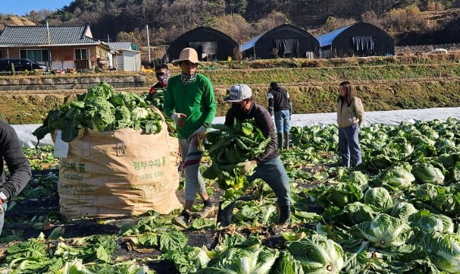 La Corée prévoit d’accueillir 191 000 travailleurs étrangers non qualifiés