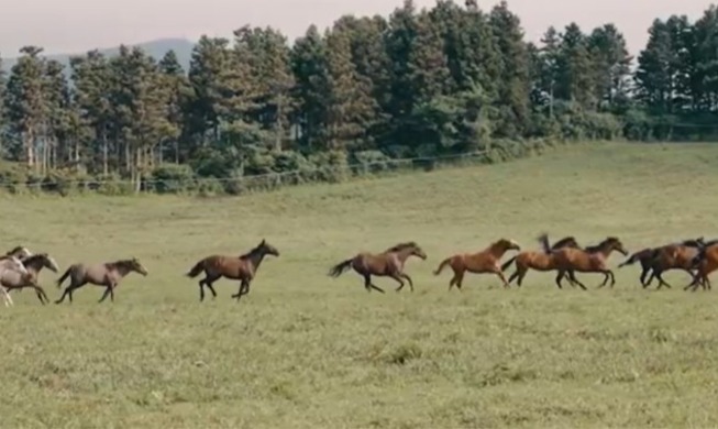 2026, année du cheval rouge