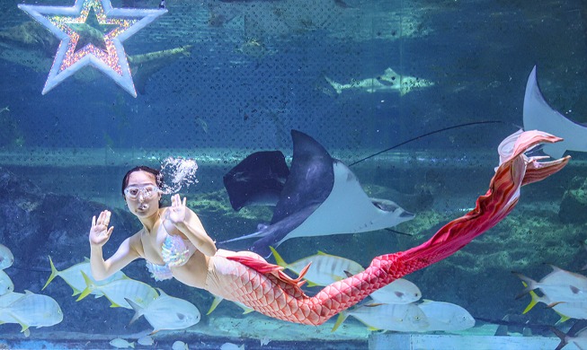 Une belle sirène fait des vagues dans l'aquarium