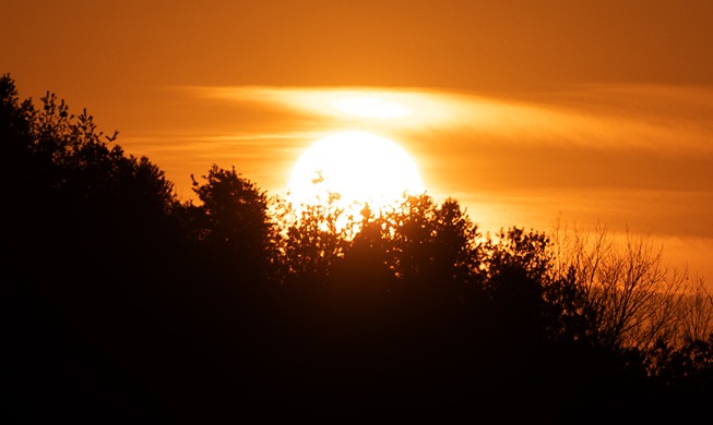 Premier lever de soleil de l'année du tigre noir