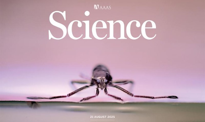 Une équipe coréano-américaine crée un système de propulsion pour robots miniature inspiré des punaises d'eau