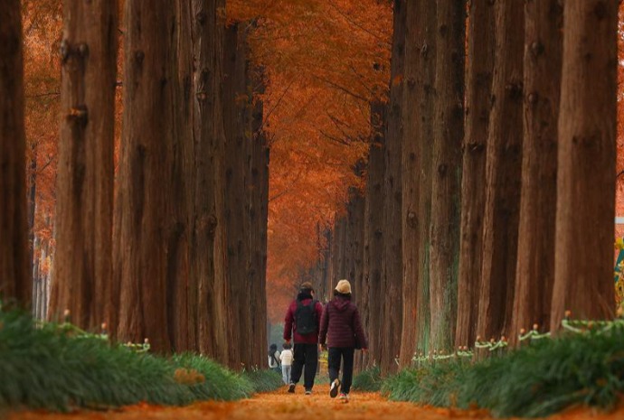 Au cœur de l'automne
