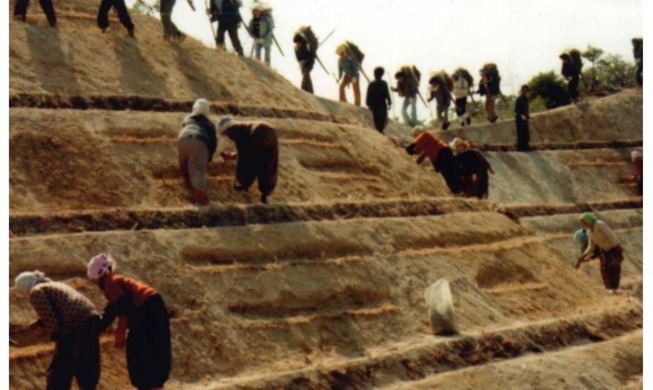 Les archives sur le reboisement de la Corée et sur le soulèvement de Jeju bientôt au registre international de l'UNESCO