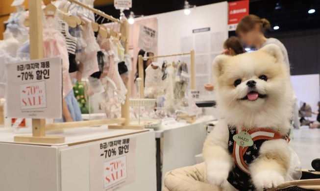 K-Pet Fair Seoul 2024