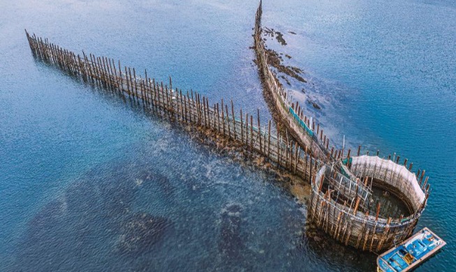 Le patrimoine agricole et halieutique traditionnel coréen honoré à Rome lors d’une cérémonie de la FAO