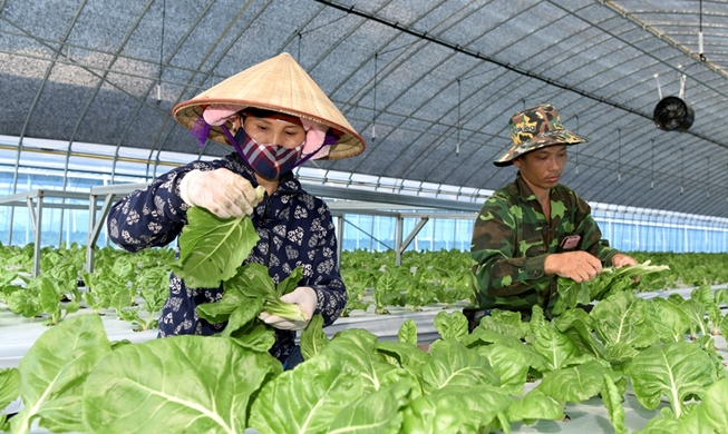 À Chungju, les ministres de l'Agriculture et de l'Emploi appellent à assurer la sécurité des travailleurs étrangers