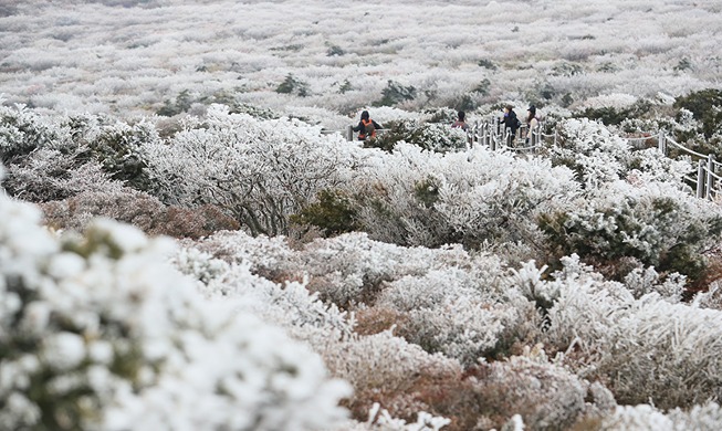 Image du jour : les premiers flocons de neige sont tombés sur le mont Halla