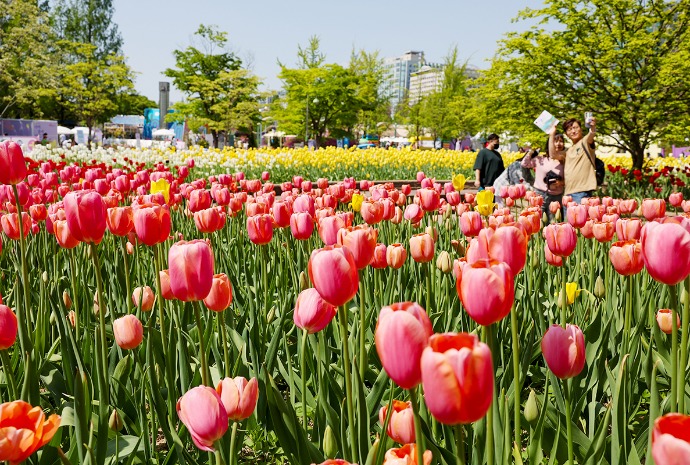 Goyang International Flower Exhibition 2026