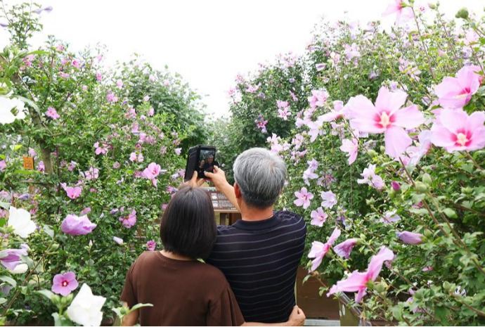 Selfie au milieu des hibiscus