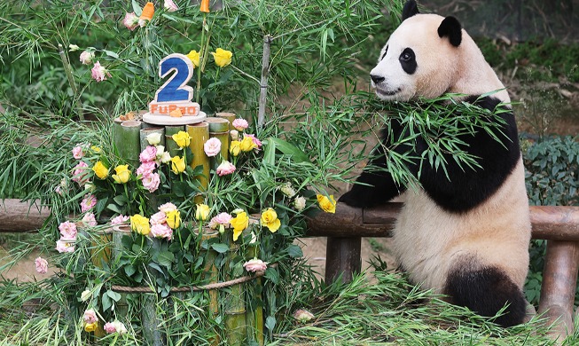 Fu Bao fête son 2e anniversaire