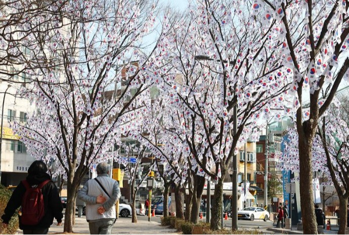 Taegeukgi accrochés aux arbres 