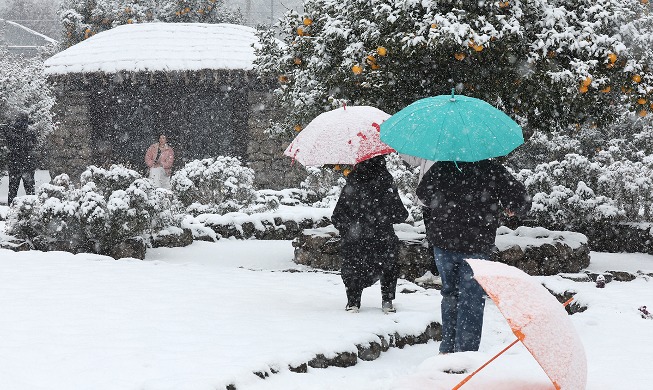 Fortes chutes de neige