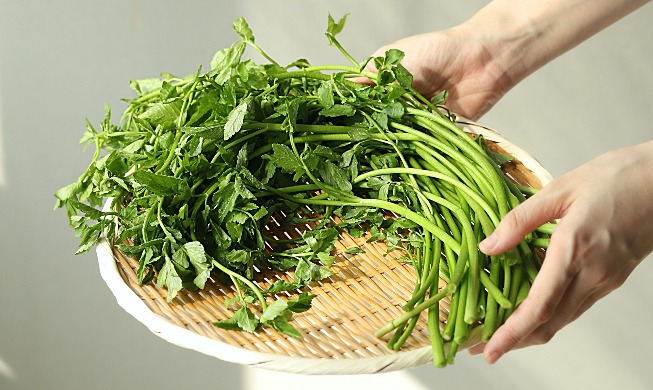 Légumes de saison : que manger au printemps ?