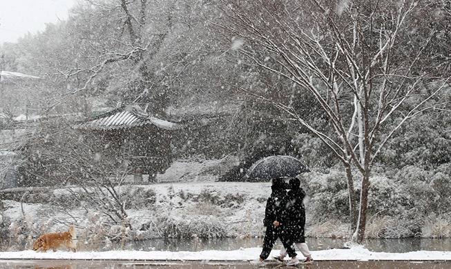 Une neige abondante sur un chemin dans une ville de province