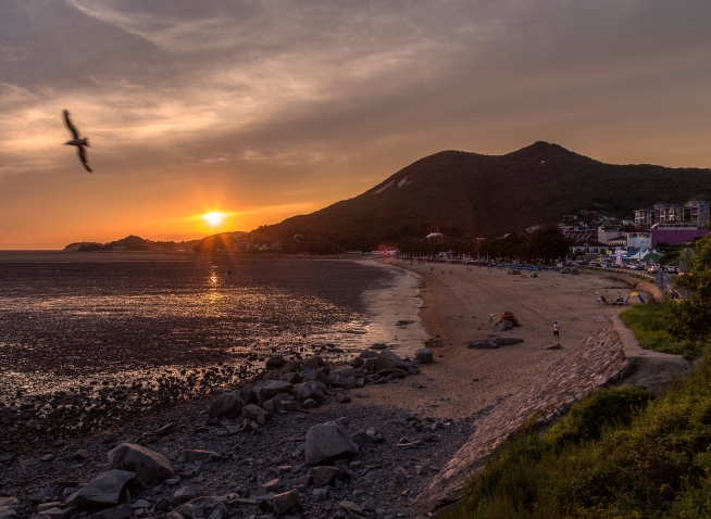 Ganghwa et Seongmodo : deux îles méconnues aux portes d’Incheon