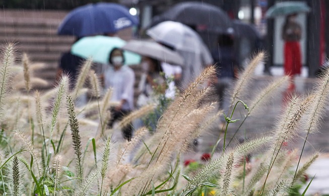 Image du jour : les pluies indiquent que l'automne est là