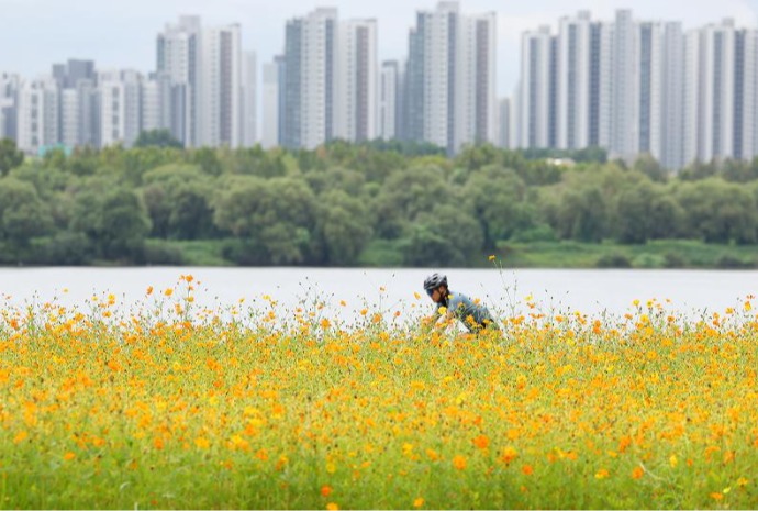 Vélo le long du fleuve Hangang