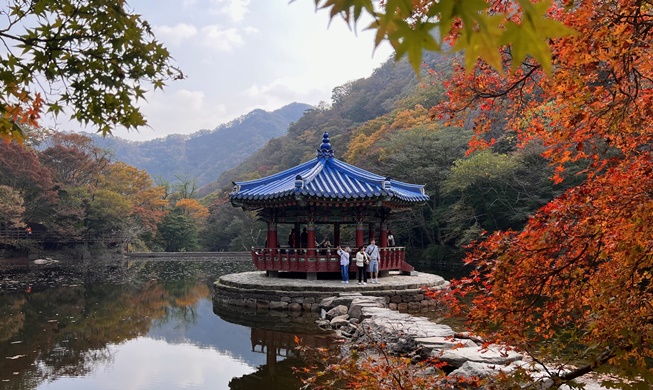 Découvrez les plus belles couleurs de l'automne coréen au parc national du mont Naejang