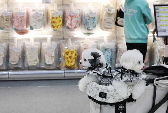 Shopping pour chiens