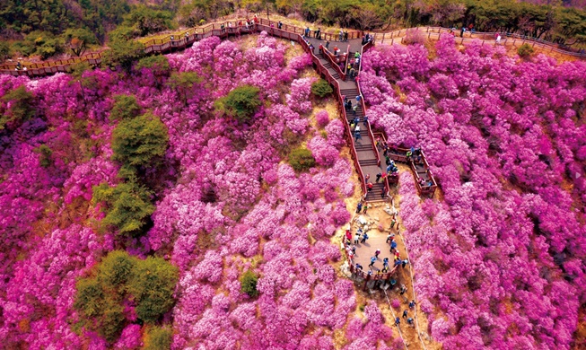 Que faire en Corée pour célébrer le printemps ?