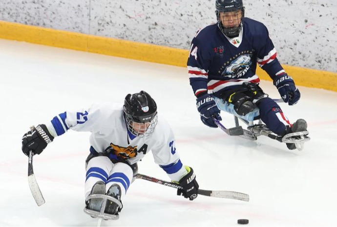 Match de para-hockey sur glace