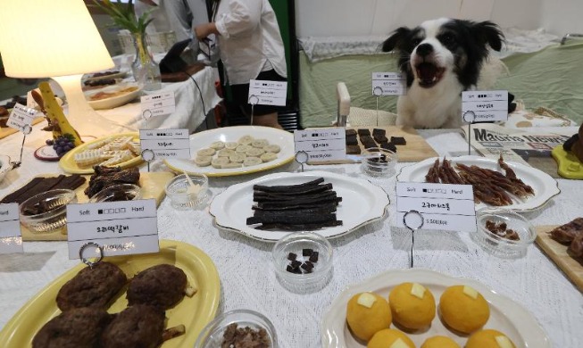 De nouvelles normes d’hygiène seront imposées aux restaurants acceptant les animaux de compagnie