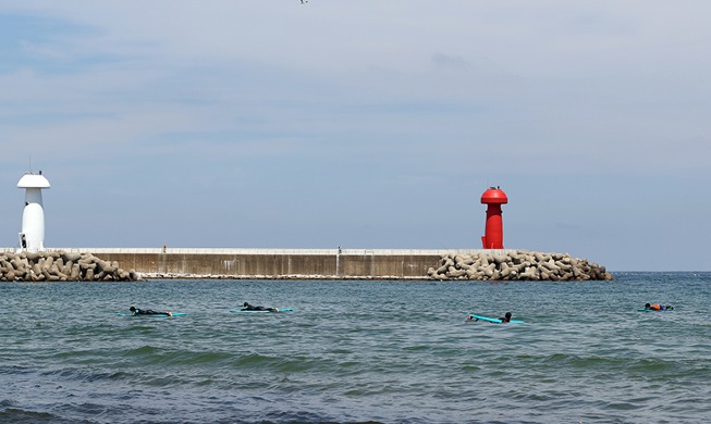 Image du jour : le surf pour se rafraîchir par cette chaleur