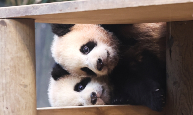 Les jumelles panda Rui Bao et Hui Bao ont rencontré le public pour la première fois