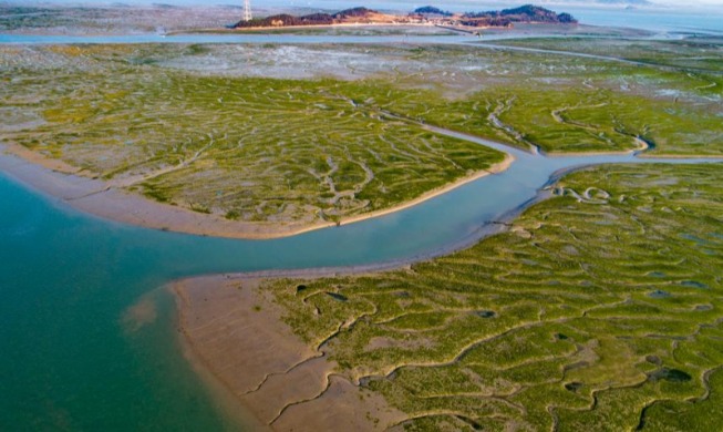 La Corée compte étendre le périmètre de ses zones intertidales, appelées getbol, inscrit à l'UNESCO