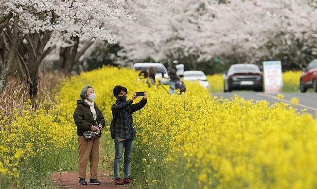 Printemps sur l'île de Jeju