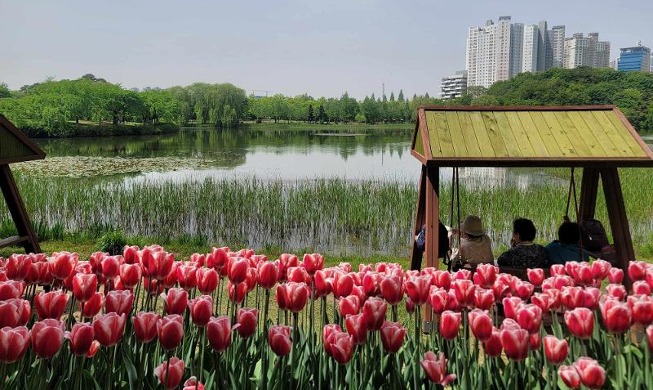 Le festival international des fleurs de Goyang est de retour !