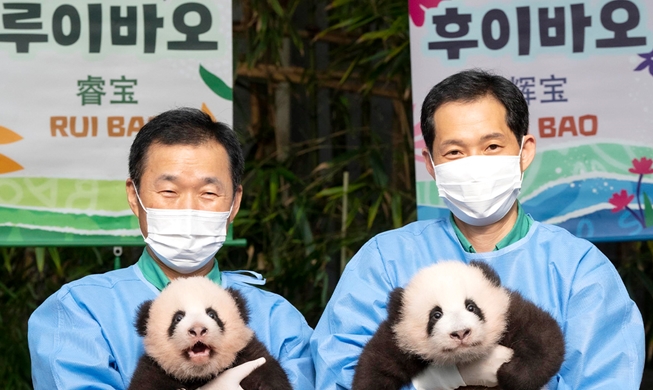 Rui Bao et Hui Bao : voici les prénoms des jumelles pandas nées au parc Everland en juillet dernier