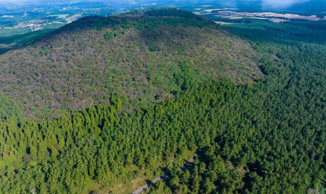 L’excellence de l’administration publique coréenne (4/5) : le reboisement du territoire
