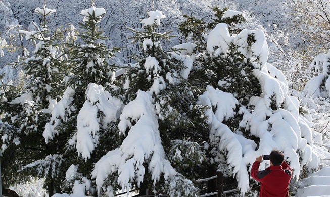 Image du jour : Neiges de mai dans la province de Gangwon