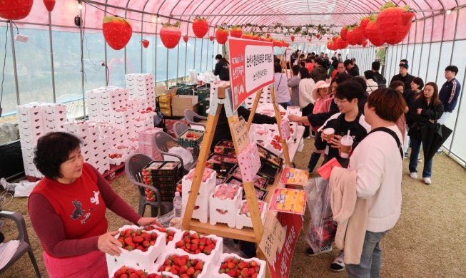 Festival des fraises de Nonsan