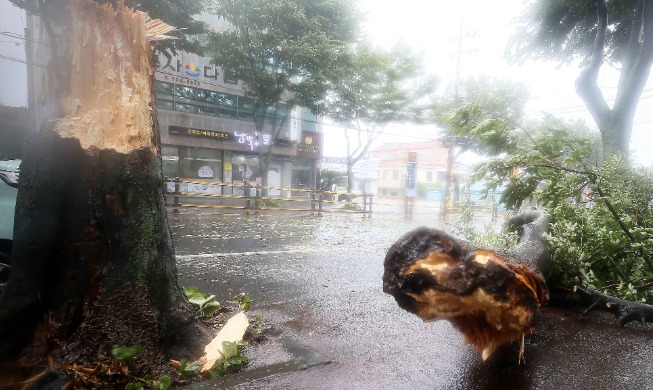 En images : le typhon Bavi a frappé la Corée