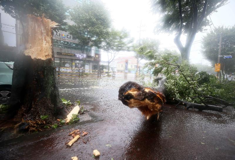 200827_typhoon_3