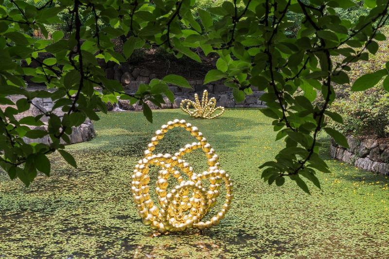 Gold Lotus 2