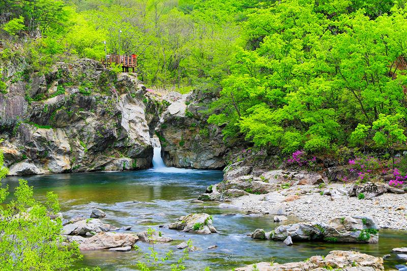 L’inscription pour la visite des itinéraires thématiques de « Chemins de la paix de la DMZ » débutera le 23 août. La photo montre la vallée de Dootayeon, site principal de l’itinéraire de Yanggu, dans la province de Gangwon. © Bureau du comté de Yanggu