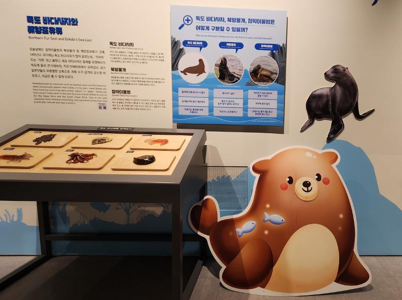 Le lion de mer de Dokdo. © Lee Jihae / Korea.net