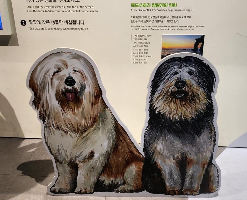 Le chien Sapsal, gardien de Dokdo. © Lee Jihae / Korea.net