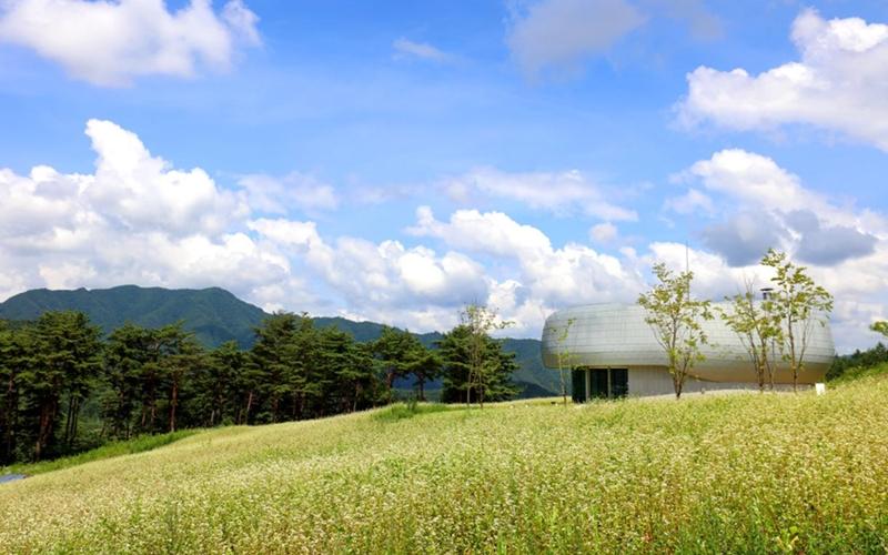 Le Baekdudaegan Global Seed Vault, situé à Bonghwa, dans le Gyeongsang du Nord. © Institut coréen des arboretums et des jardins